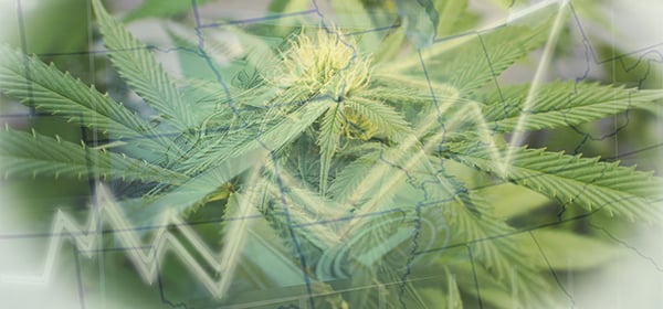 Midwest Marijuana-Industry-Growth hubspot-4